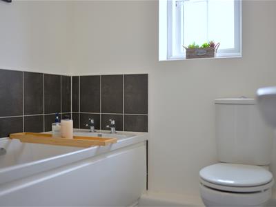 Picture 15